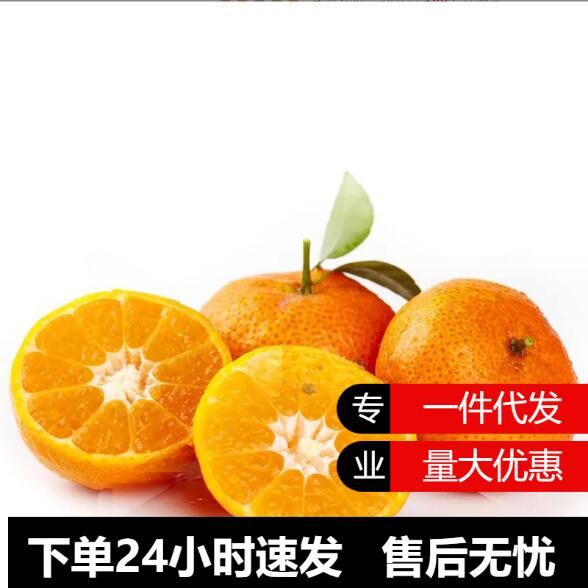 金秋砂糖橘（1.5kg）