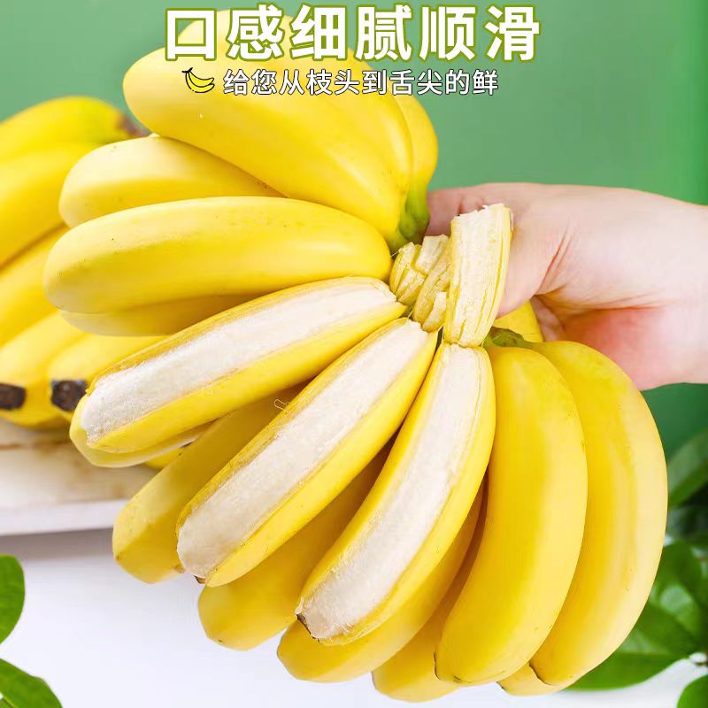 天宝香蕉（2.5kg）